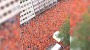 Niederländer feiern vor EM-Halbfinale: Dortmund ist orange! | Regional | BILD.de